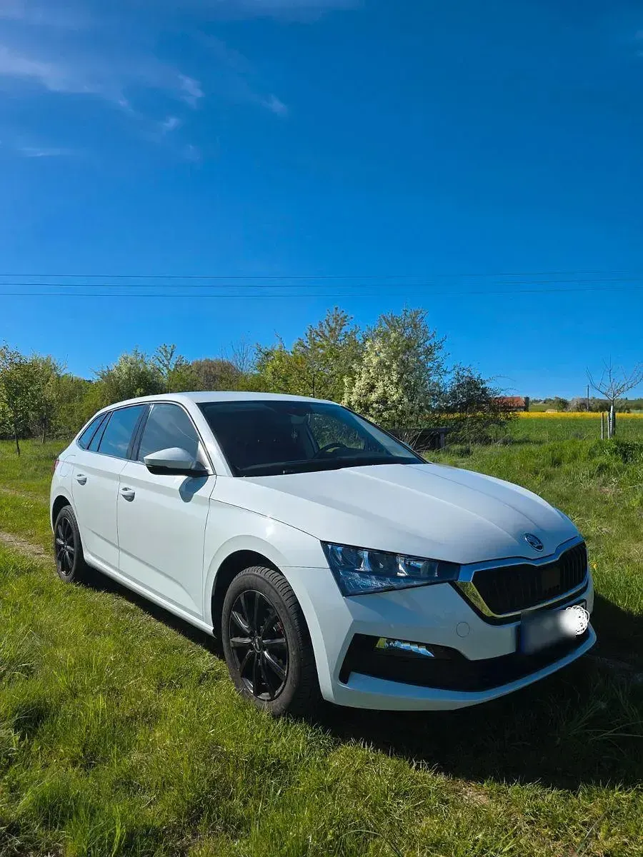 Gebraucht Skoda Scala Ambition 116 PS (85 kW) 2019 Weiß Kleinwagen