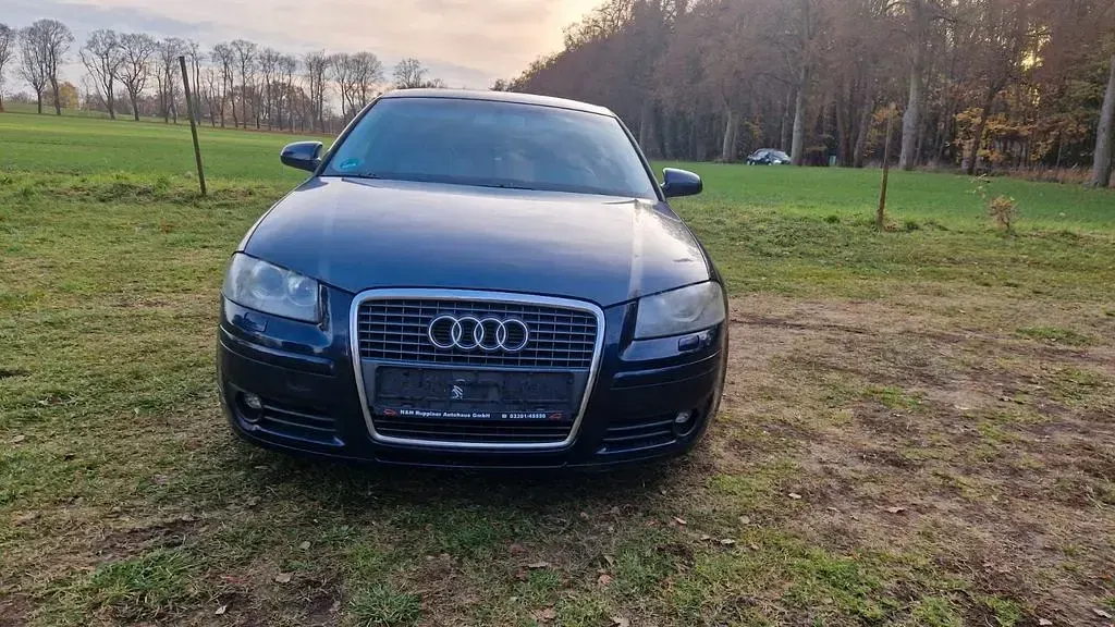 Gebraucht Audi A3 Ambiente 140 PS (102 kW) 2004 Blau Kleinwagen