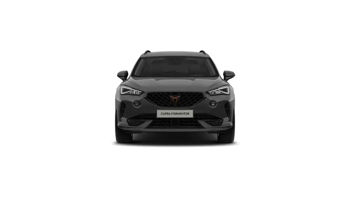 Gebraucht Cupra Formentor 150 PS (110 kW) 2024 Grau SUV