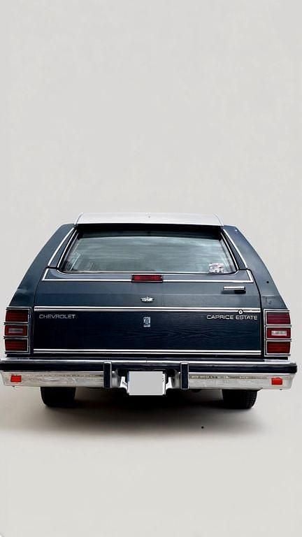 Gebraucht Chevrolet Caprice 140 PS (102 kW) 1989 Grau Limousine