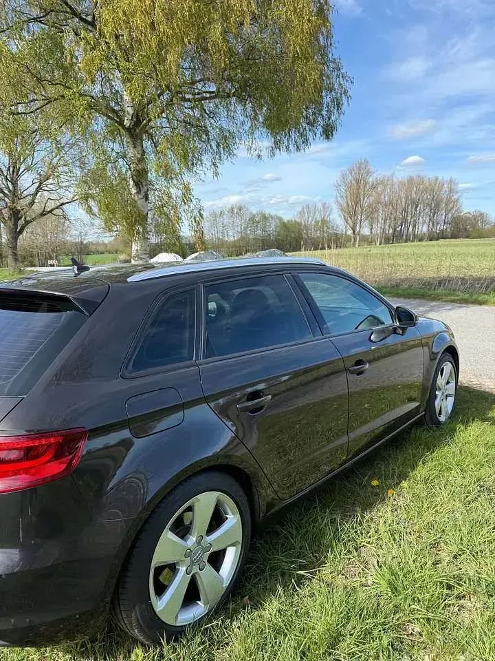 Gebraucht Audi A3 Ambition 150 PS (110 kW) 2015 Braun Kombi
