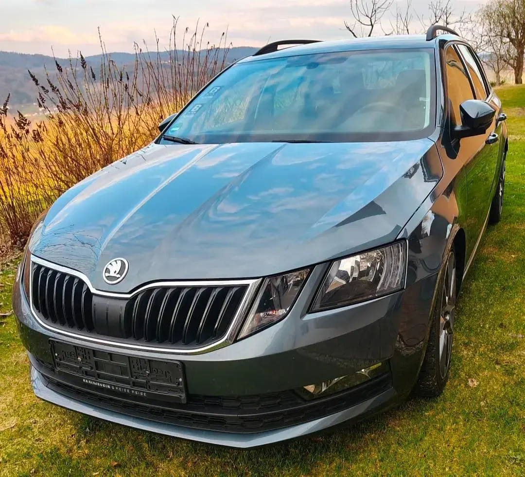 Gebraucht Skoda Octavia 150 PS (110 kW) 2019 Grau Kombi