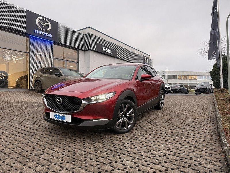 Rot Gebraucht 2019 Mazda CX-30 Selection SUV | 21.990 € (Etwas zu teuer) - Bild 1/4