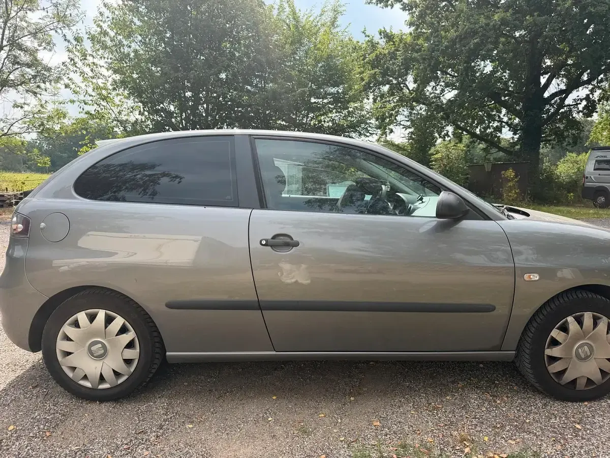 Gebraucht Seat Ibiza 105 PS (77 kW) 2007 Grau Kleinwagen