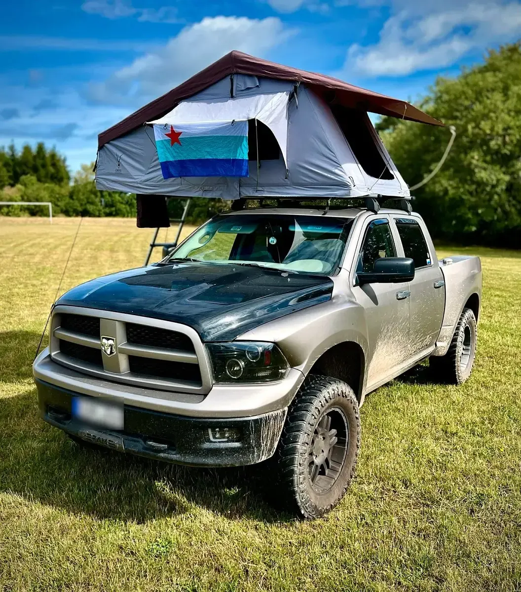 Usata Dodge Ram 401 CV (294 kW) 2009 Pick-up