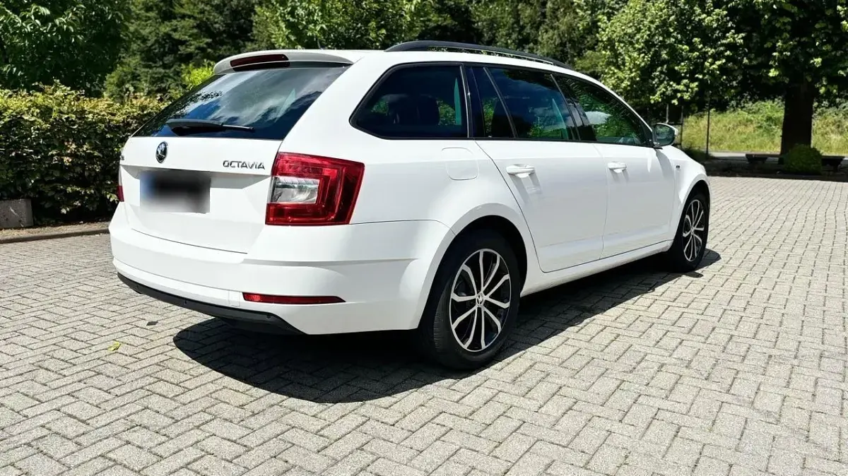 Gebraucht Skoda Octavia Soleil 150 PS (110 kW) 2019 Weiß Kombi