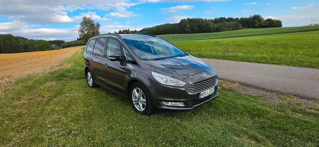 Gebraucht Ford Galaxy 150 PS (110 kW) 2019 Grau Van / Kleinbus