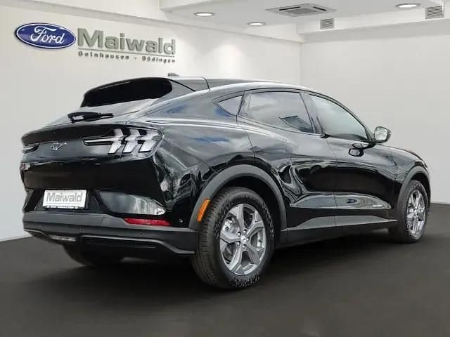 Gebraucht Ford Mustang Mach-E Basis 216 kW (294 PS) 2023 Iridiumschwarz metallic SUV