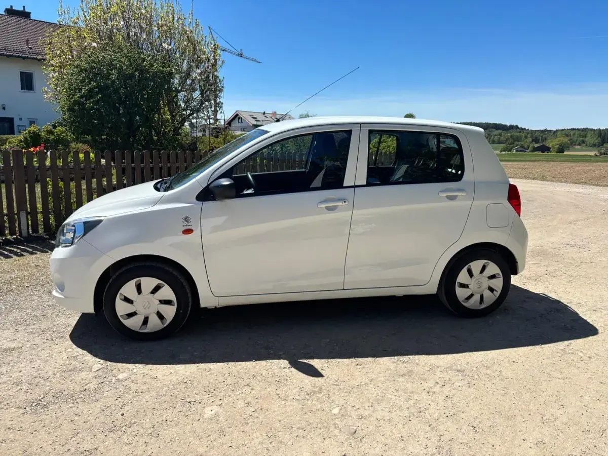 Usata Suzuki Celerio 69 CV (50 kW) 2016 Bianco Utilitaria