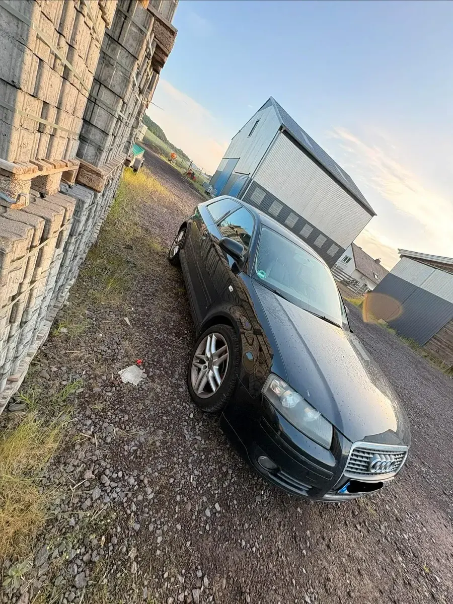 Gebraucht Audi A3 105 PS (77 kW) 2008 Schwarz Kleinwagen