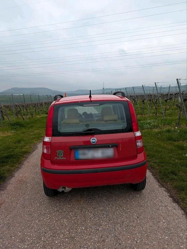 Gebraucht Fiat Panda Dynamic 60 PS (44 kW) 2006 Rot Kleinwagen