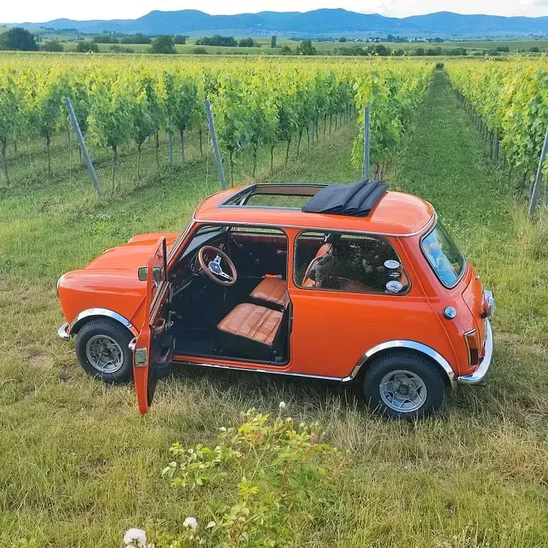 Gebraucht Mini 1000 68 PS (50 kW) 1977 Orange Kleinwagen
