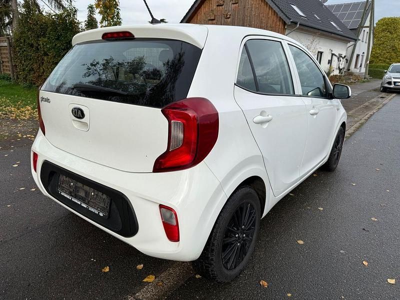 Gebraucht Kia Picanto Edition 7 67 PS (49 kW) 2019 Weiß Kleinwagen