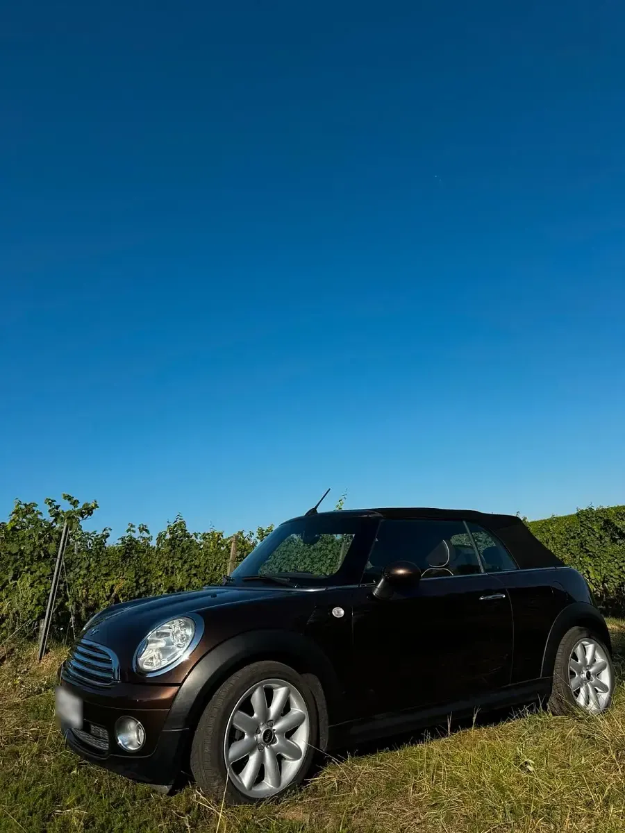 Gebraucht Mini Cooper Cabriolet 122 PS (89 kW) 2009 Braun Cabrio