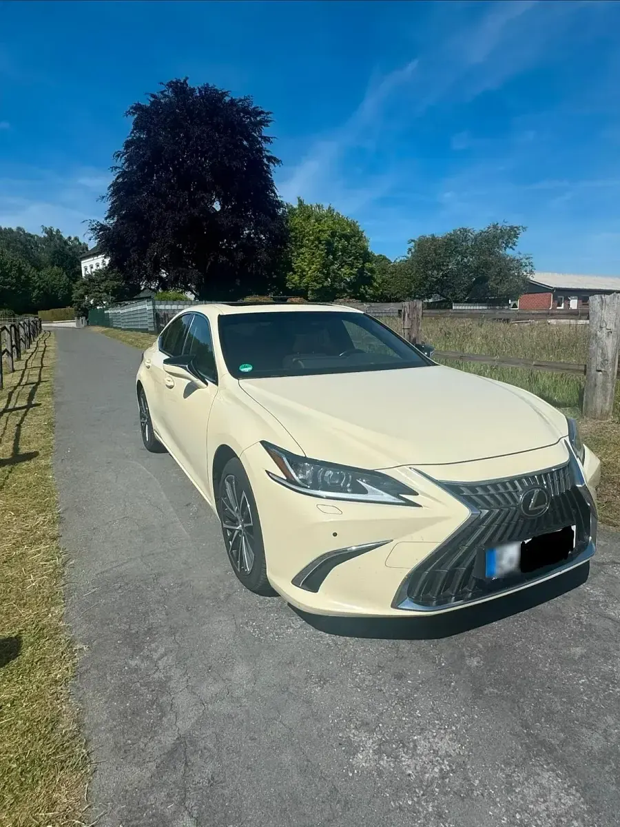 Gebraucht Lexus ES300H 178 PS (130 kW) 2023 Grau Limousine