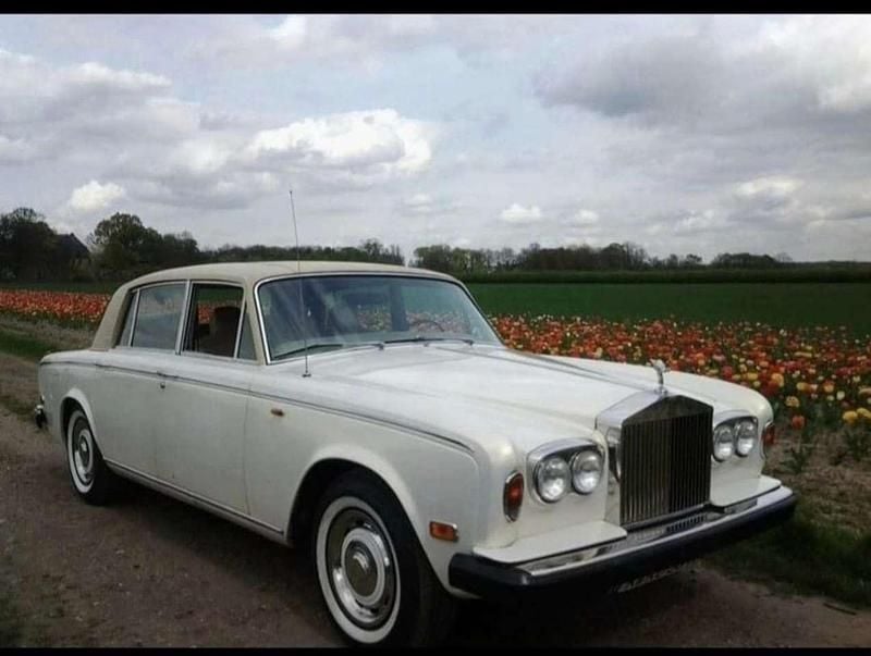 Gebraucht Rolls Royce Silver Shadow 194 PS (142 kW) 1975 Weiß Limousine