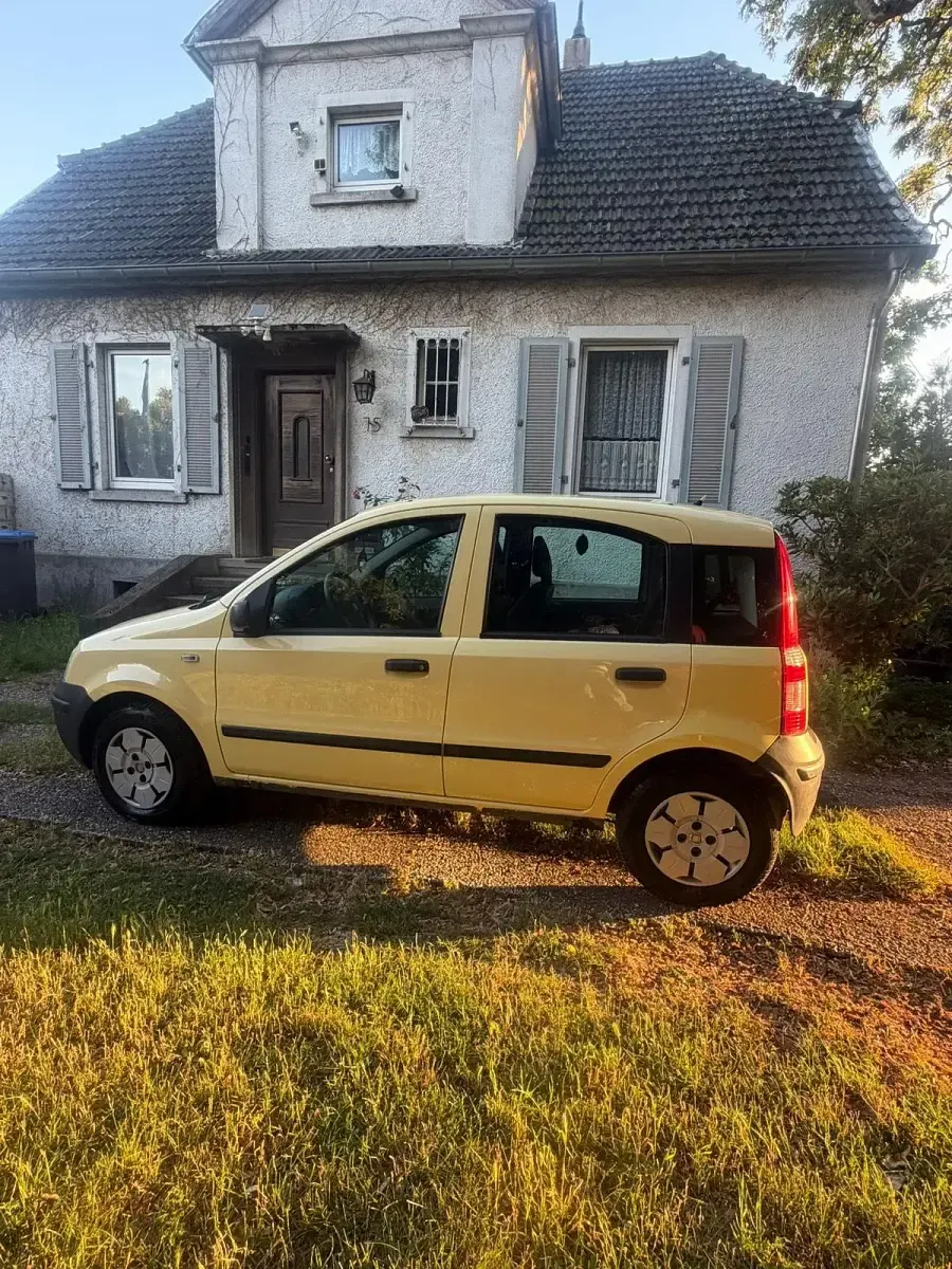 Gebraucht Fiat Panda 69 PS (50 kW) 2008 Gelb Kleinwagen