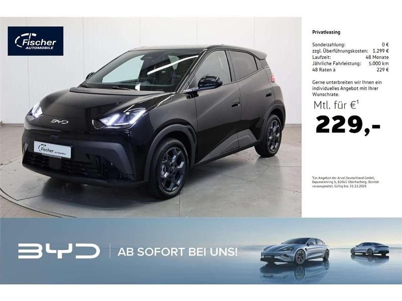 Polar night black Neu 2025 BYD Dolphin Comfort Kleinwagen | 24.590 € (Fairer Preis) - Bild 1/4