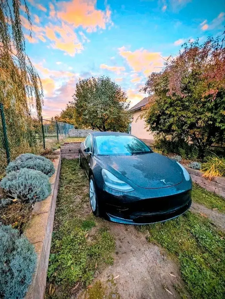 Gebraucht Tesla Model 3 Standard Range Plus 239 kW (325 PS) 2019 Schwarz Limousine
