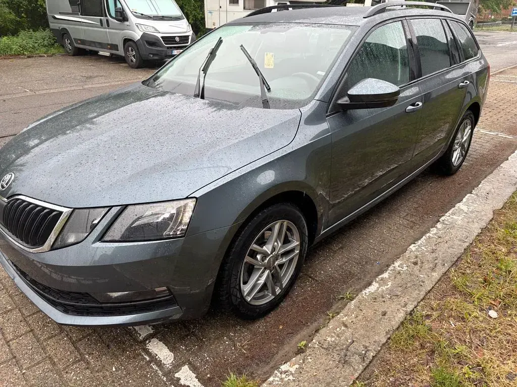 Brugt Skoda Octavia Active 116 HK (85 kW) 2019 Rød Sedan