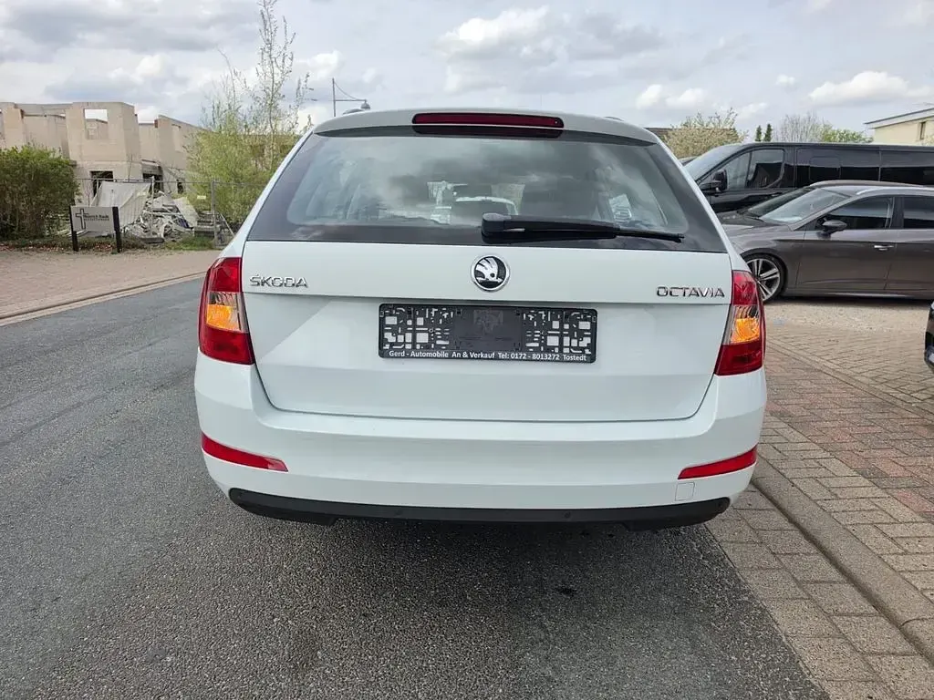 Usata Skoda Octavia Style 110 CV (80 kW) 2016 Bianco Utilitaria