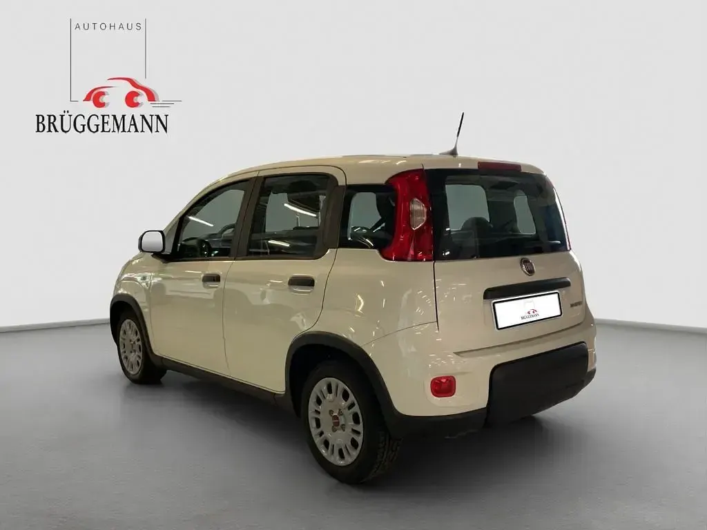 Gebraucht Fiat Panda Tech 69 PS (50 kW) 2023 Weiß Kleinwagen