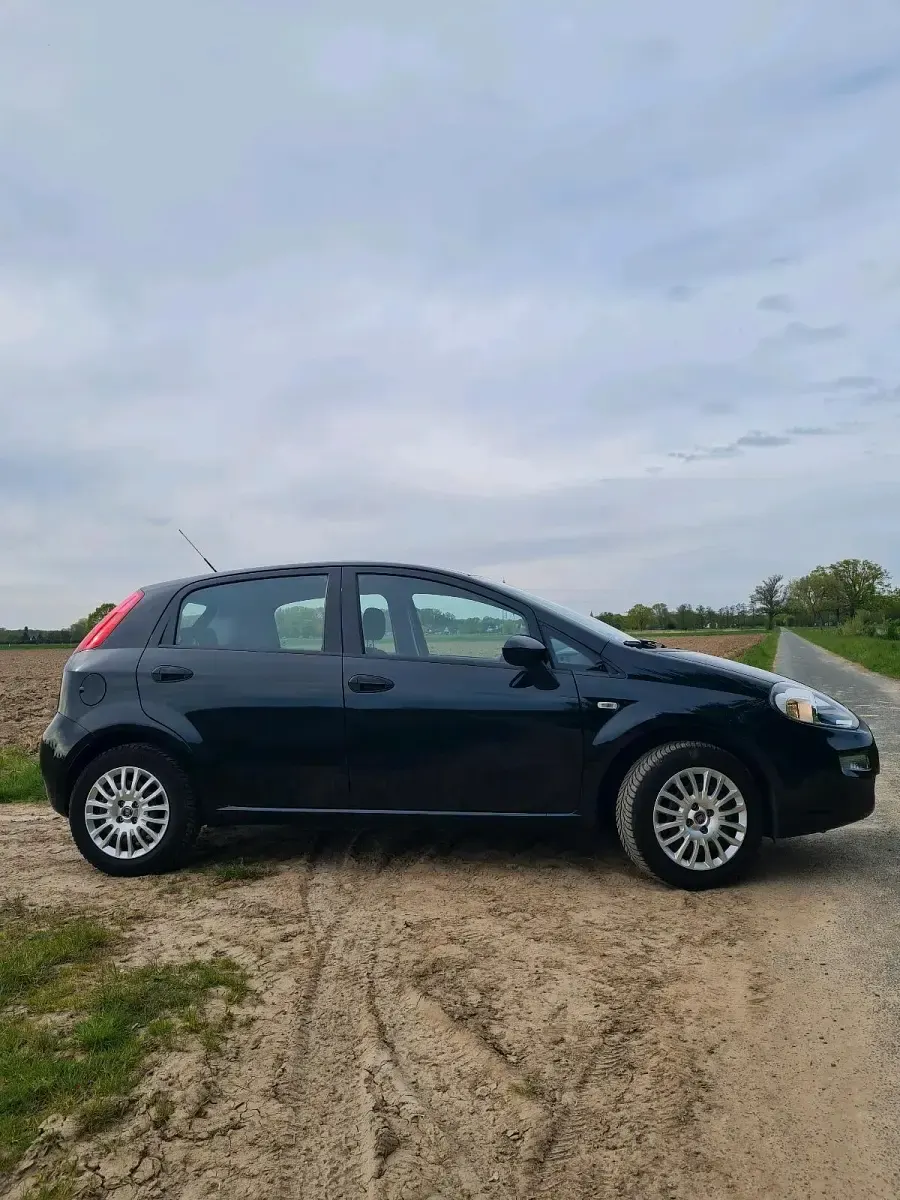 Gebraucht Fiat Punto 69 PS (50 kW) 2017 Schwarz Kleinwagen