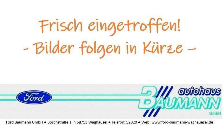 Grau Gebraucht 2016 Ford Ecosport Titanium SUV | 8.400 € (Fairer Preis) - Bild 1/1
