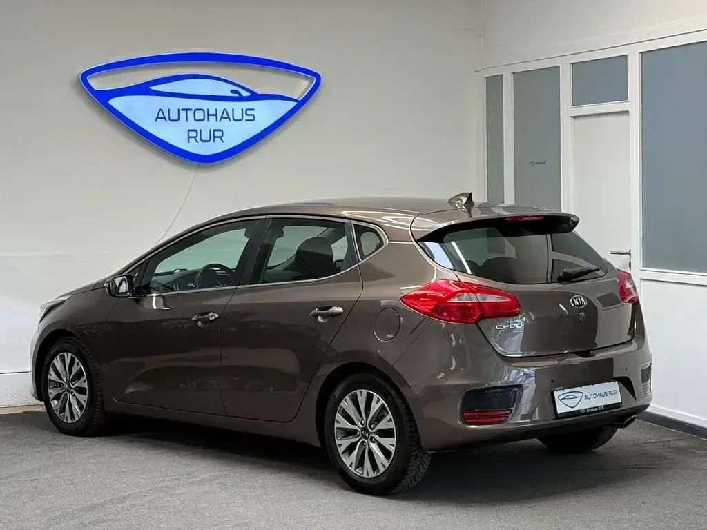 Gebraucht Kia Ceed Edition 7 135 PS (99 kW) 2018 Braun Kleinwagen