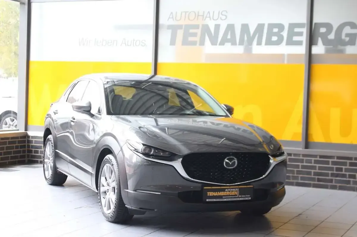 Gebraucht Mazda CX-3 Selection 150 PS (110 kW) 2021 Machine grey SUV