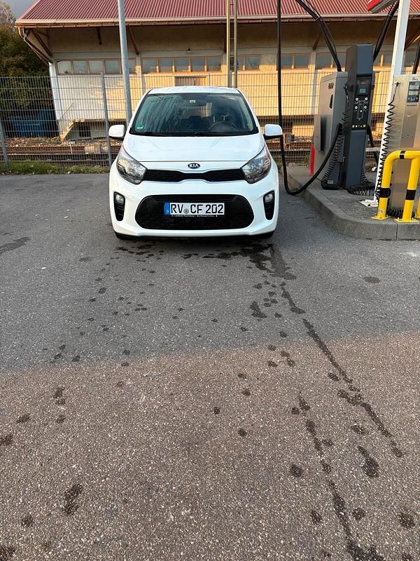 Gebraucht Kia Picanto 67 PS (49 kW) 2017 Weiß Kleinwagen