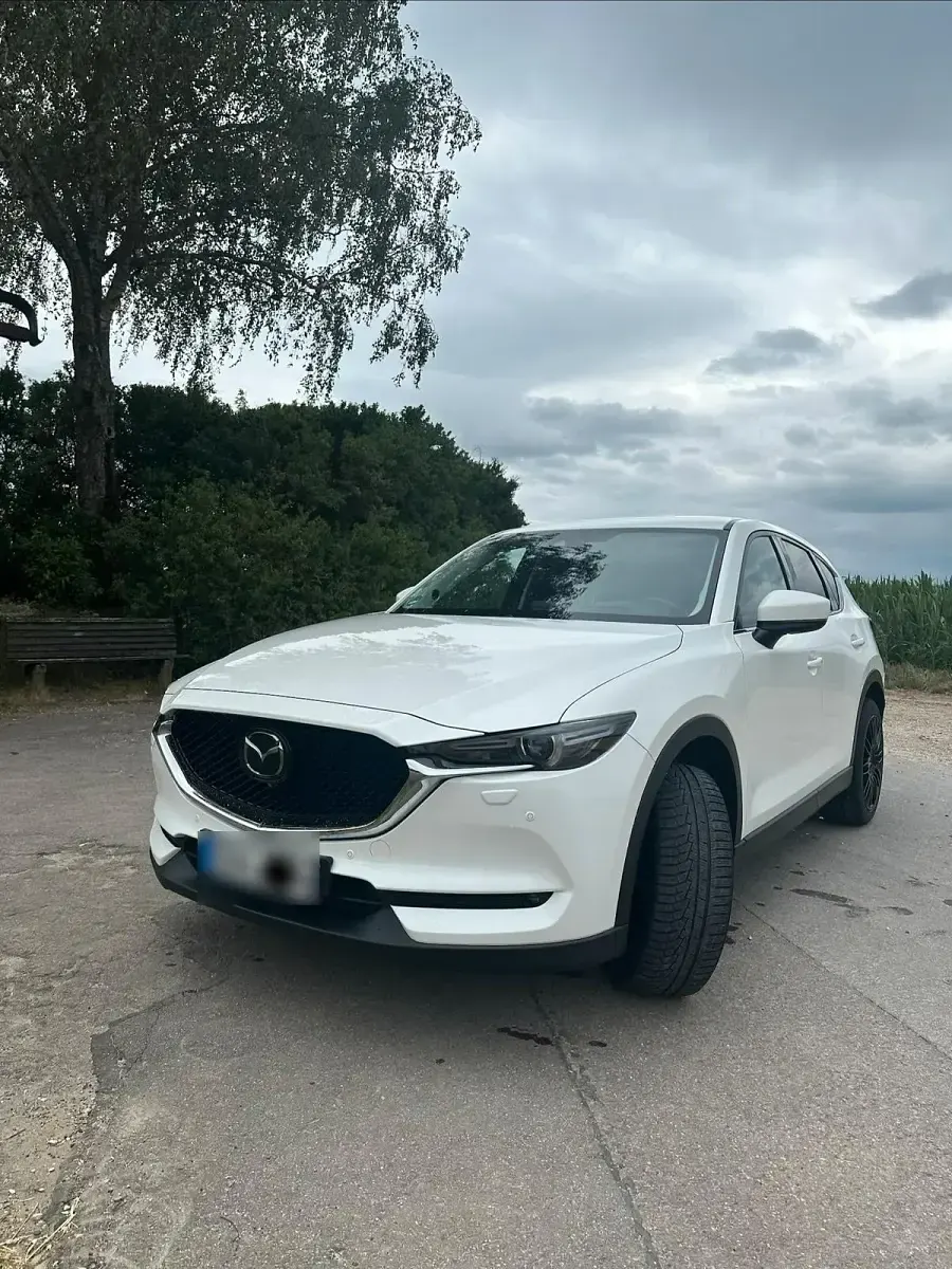 Gebraucht Mazda CX-5 Sports-Line 184 PS (135 kW) 2019 Weiß SUV