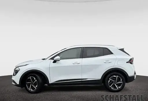 Gebraucht Kia Sportage Comfort 160 PS (117 kW) 2024 Weiss (casa white) SUV