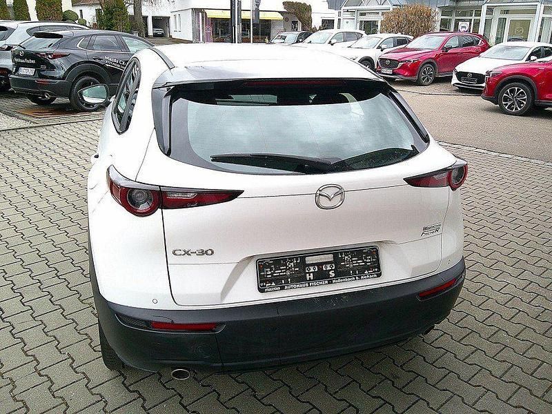Gebraucht Mazda CX-30 Selection 150 PS (110 kW) 2023 Weiß SUV