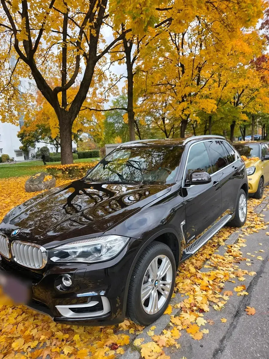 Gebraucht BMW X5 258 PS (189 kW) 2014 Braun SUV