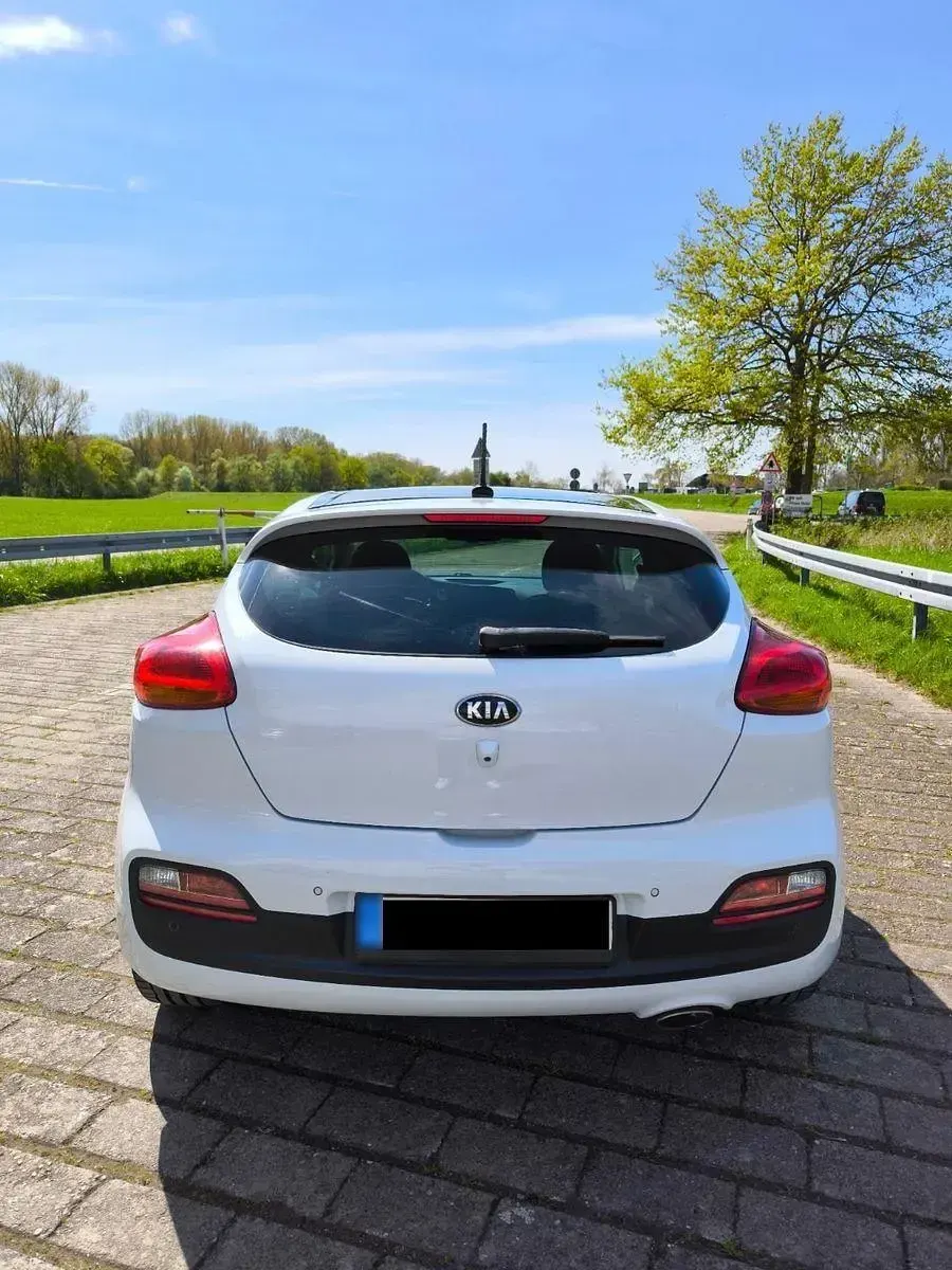 Gebraucht Kia ProCeed 128 PS (94 kW) 2014 Weiß Kleinwagen