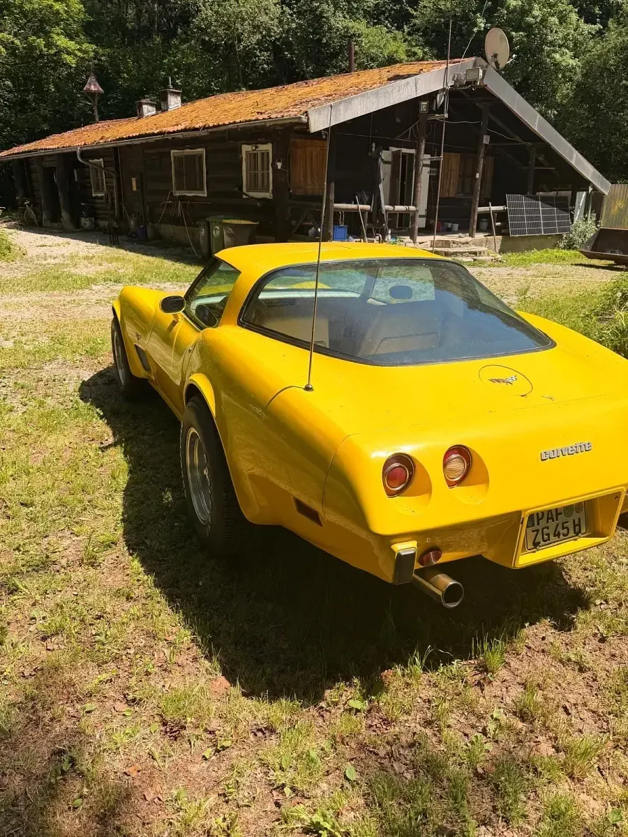 Gebraucht Corvette Stingray 240 PS (176 kW) 1979 Gelb Cabrio