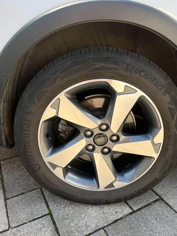 Gebraucht Ford Focus Active 155 PS (114 kW) 2021 Weiß Kombi