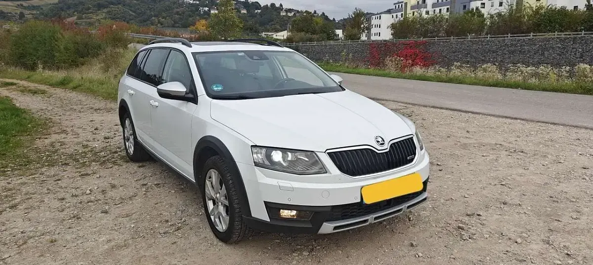 Gebraucht Skoda Octavia Scout Scout 4x4 184 PS (135 kW) 2016 Weiß Kombi