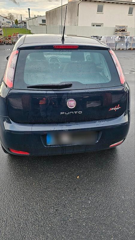 Gebraucht Fiat Punto 2014 Blau Kleinwagen
