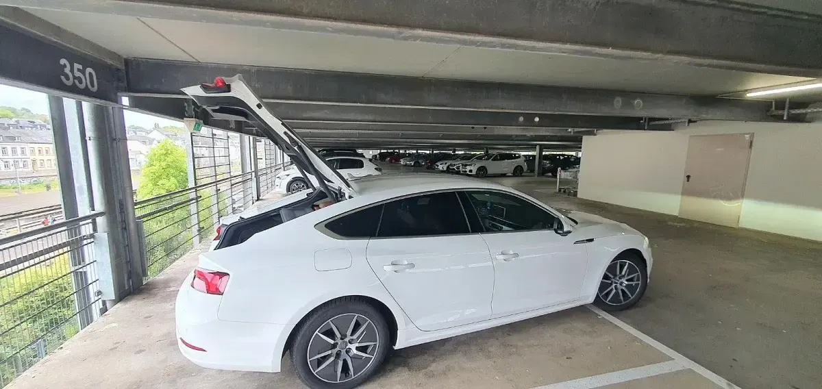 Gebraucht Audi A5 Sportback Sport 150 PS (110 kW) 2019 Weiß Kleinwagen