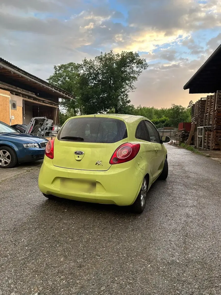 Gebraucht Ford Ka 69 PS (50 kW) 2009 Grün Kleinwagen