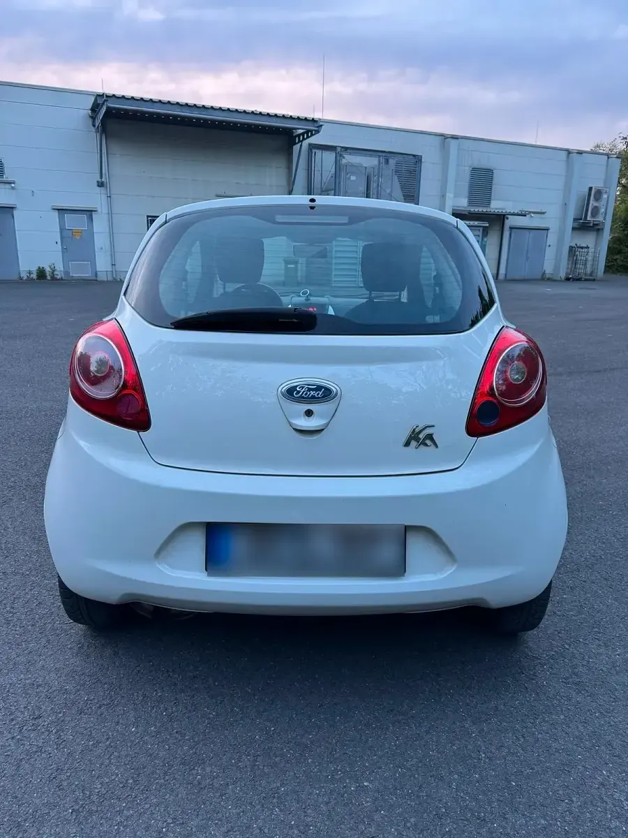 Usata Ford Ka 69 CV (50 kW) 2009 Bianco Utilitaria