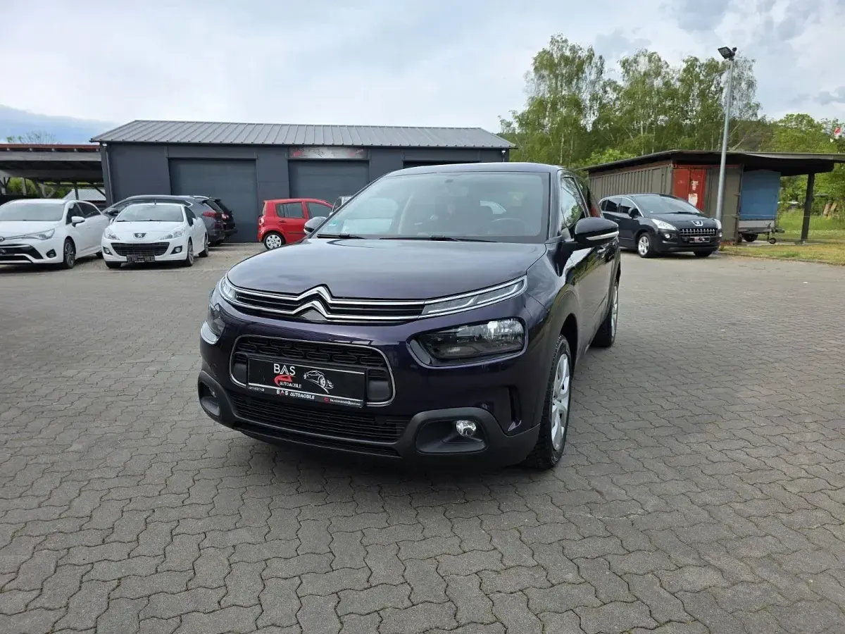 Gebraucht Citroën C4 Cactus Feel 102 PS (75 kW) 2019 Violet Kleinwagen