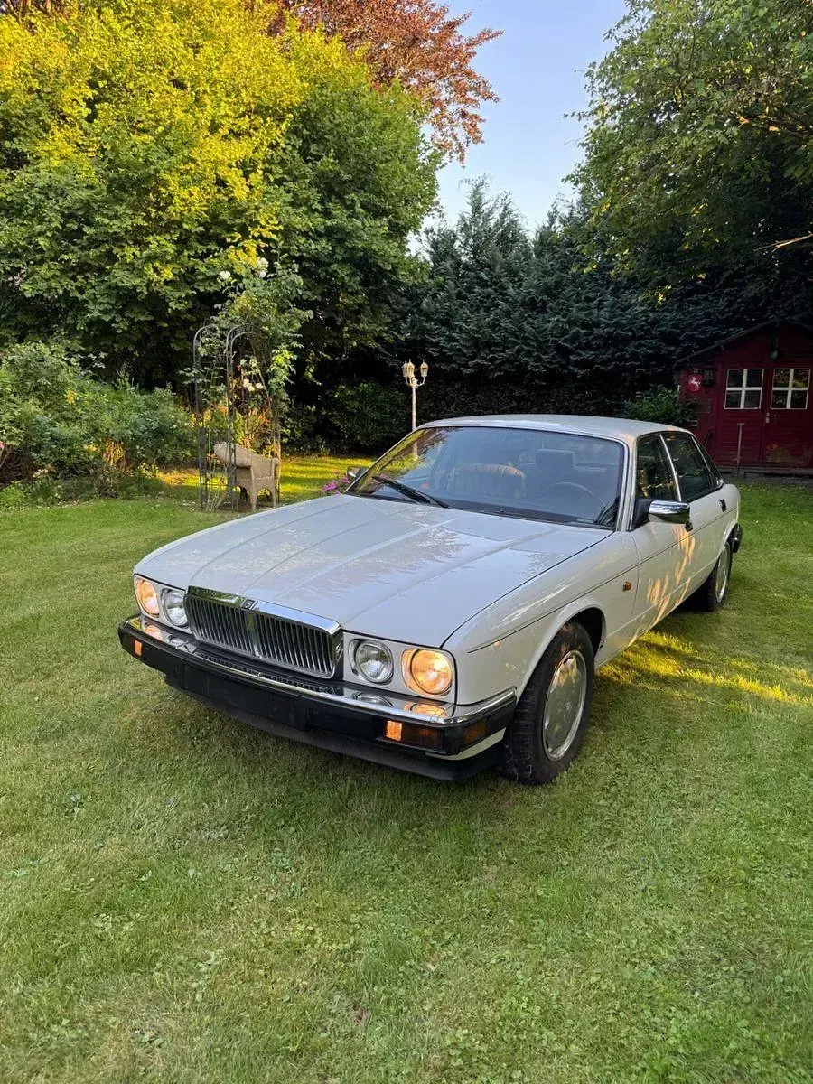 Gebraucht Jaguar XJ40 239 PS (175 kW) 1991 Weiß Limousine