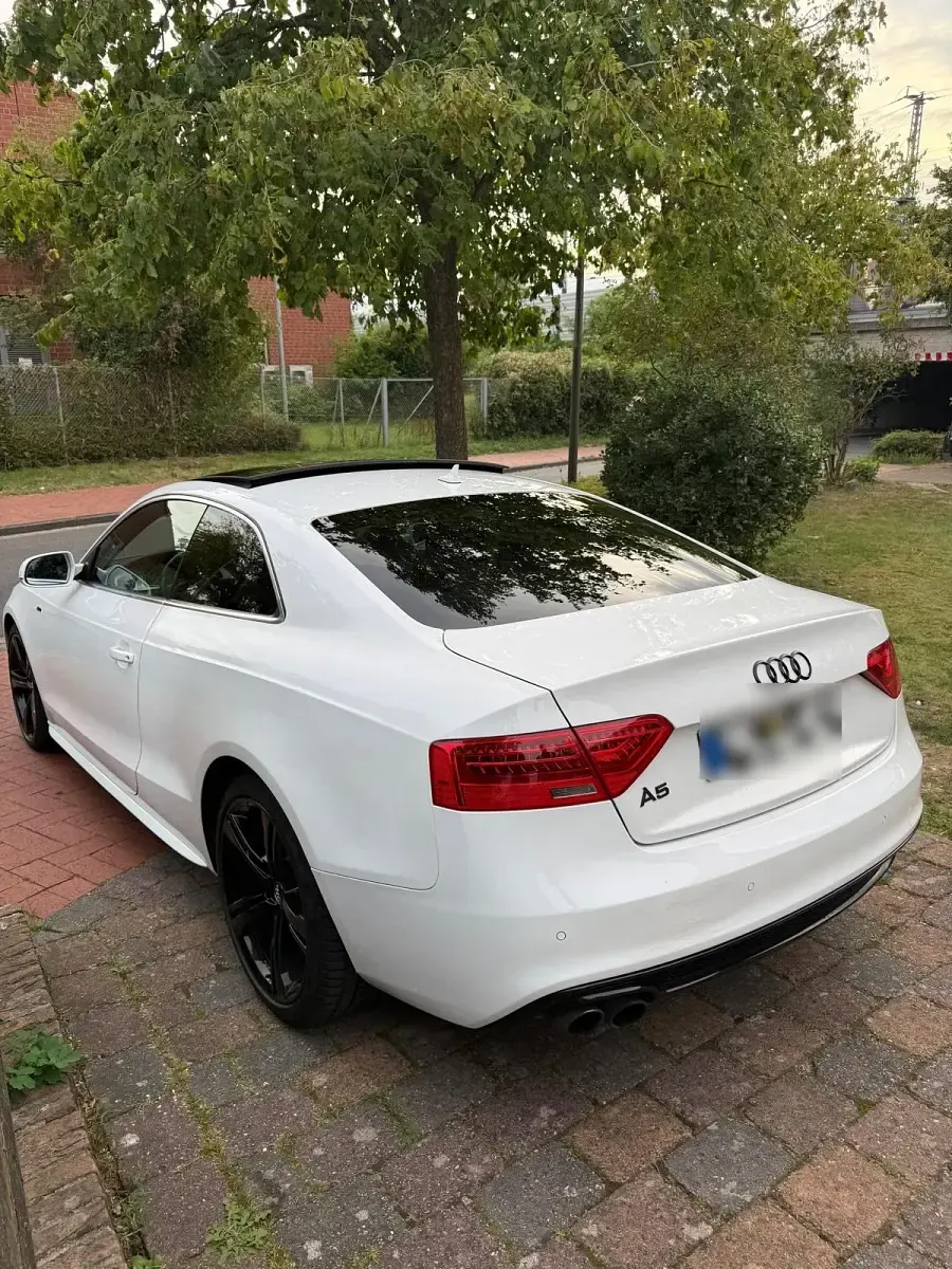Gebraucht Audi A5 S-Line 170 PS (125 kW) 2015 Weiß Coupé