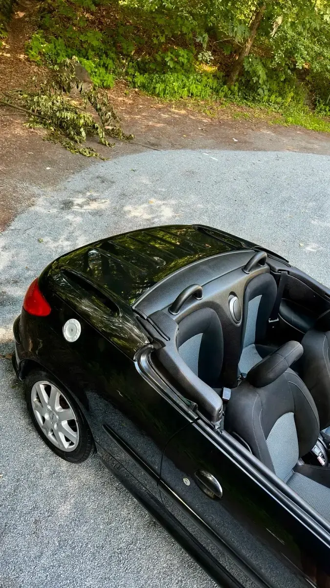 Gebraucht Peugeot 206 CC 110 PS (80 kW) 2006 Schwarz Cabrio