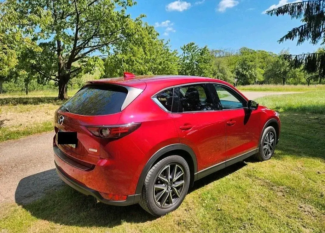Gebraucht Mazda CX-5 184 PS (135 kW) 2019 Rot SUV