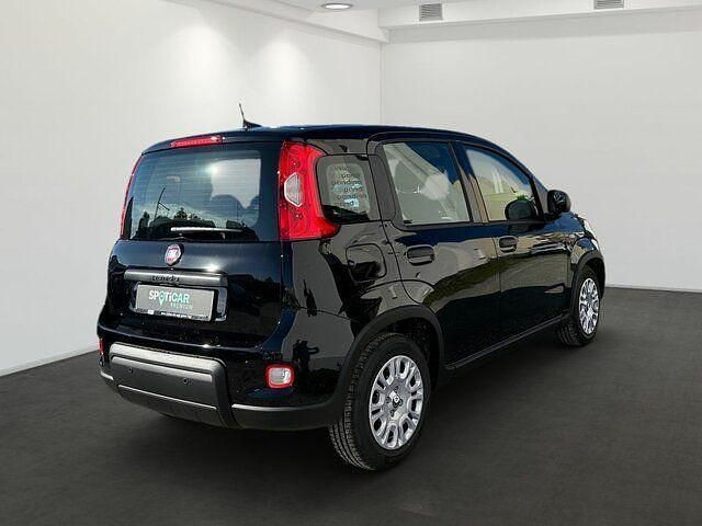 Gebraucht Fiat Panda 69 PS (50 kW) 2024 Schwarz Kleinwagen