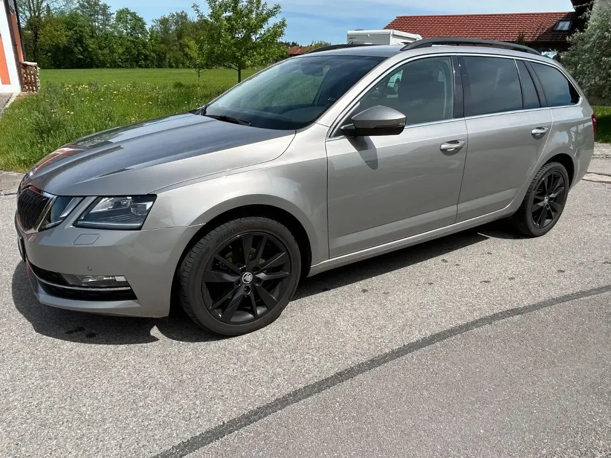 Gebraucht Skoda Octavia Style 150 PS (110 kW) 2019 Beige Kombi